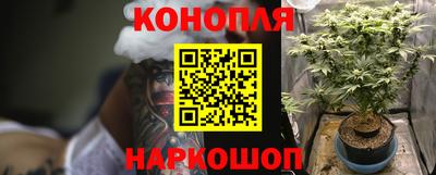 прущие грибы Туймазы