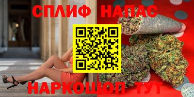 прущие грибы Туймазы