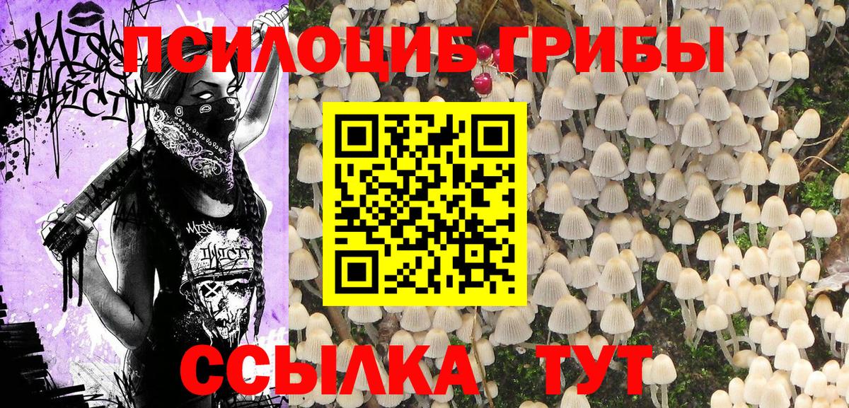 Новоалександровск  Псилоцибиновые грибы мухоморы  Вход с VPN 