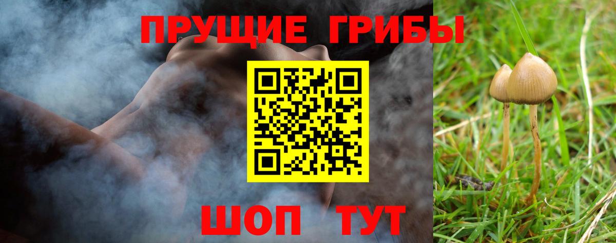 Галлюциногенные грибы Magic Shrooms Новоалександровск